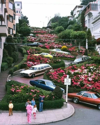 mamut2000 - #fotografia #usa
Ulica Lombard Street, San Francisco 1975