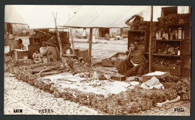 myrmekochoria - Kobieta sprzedająca przyprawy, Guanajuato, Meksyk przełom XIX/XX wiek...