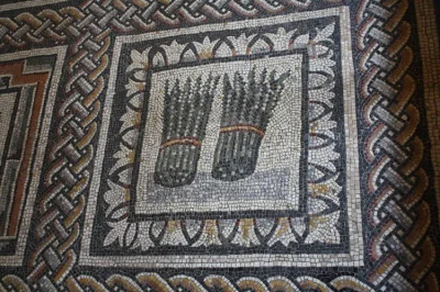 IMPERIUMROMANUM - Szparagi na mozaice

Szparagi na rzymskiej mozaice podłogowej. Ob...
