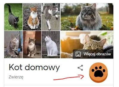 Erehr - 1. Wejdź na Google
2. Wyszukaj "kot"
3. Kliknij w łapkę z prawej strony
( ...