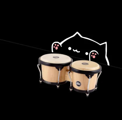 Borealny - Zabawa
Bongo.cat
#zabawa #koty #kitku