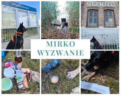 PiesTaktyczny - #mirkowyzwanie

1.Idź na dworzec kolejowy z niezbędnymi rzeczami na...