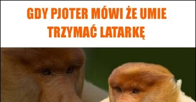 T.....h - Mi by się przydał taki który jeździł by za mną, trzymał właściwie latarkę i...