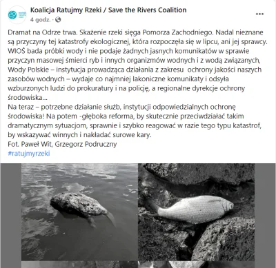 Mfalme_Kitunguu - skur%$&*ny, aż mnie krew zalewa jak to widzę, a skażenie sięga już ...