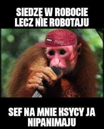 Blaskun - @WstretnyOwsik: mój ulubiony mem z małpą ukraińcem ( ͡° ͜ʖ ͡°)