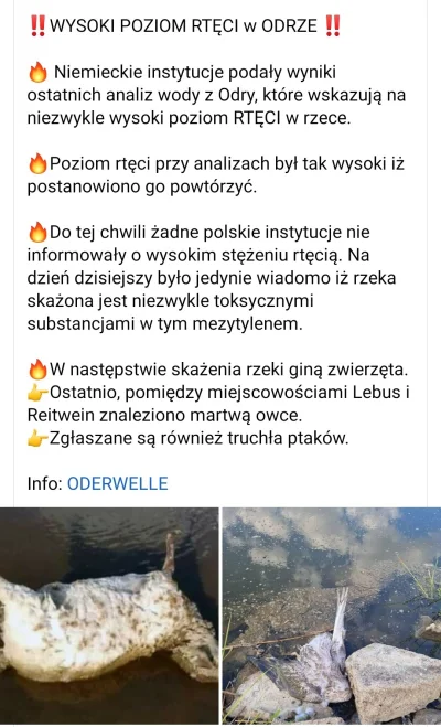 Mfalme_Kitunguu - Okazuje się, że w Odrze jest wysoki poziom rtęci, o czym nasze inst...