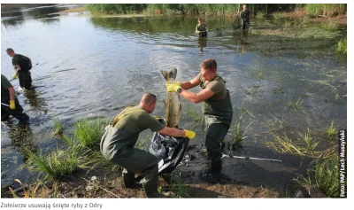 aleksc - Czy żołnierze, którzy usuwają i usuwali te martwe ryby mają świadomość, że m...