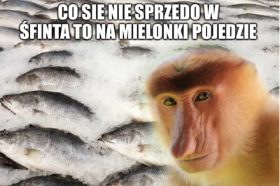 suqmadiq2ama - @12lat25cm: Rybki wypływajom i otwierasz smażalnie w sopocie zatrudnia...