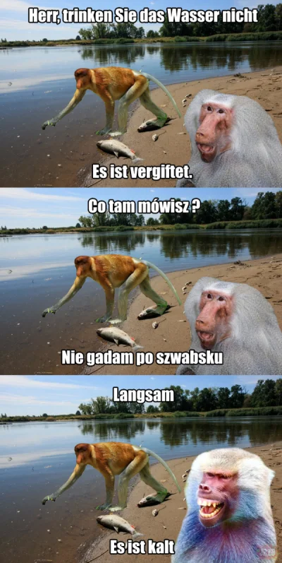 wykopowicz_ka - #polska #niemcy #odra #humor #heheszki #memy