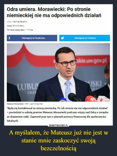 luxkms78 - #morawiecki #morawieckicontent #bezczelnosc #odra