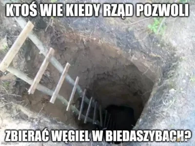 januszzczarnolasu - @Wedarn: Biedaszyby ciągle są nielegalne, ale chrust też był. ( ͡...