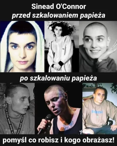 niedzwiedzmis - #2137 #heheszki #humorobrazkowy