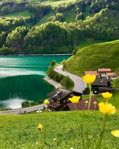 Borealny - Szwajcaria
#earthporn #szwajcaria #jezioro #natura