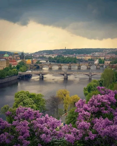 Borealny - Praga, Czechy 
Autor: julian.hluberiaga
#estetyczneobrazki #fotografia #po...