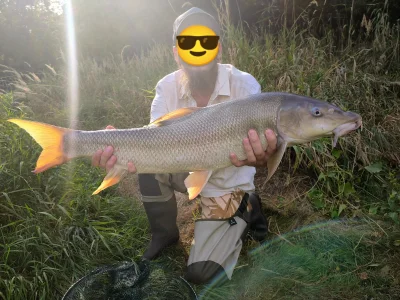 Pask03 - Pierwsza Brzana w życiu i od razu medalowa :) równe 80cm... Jedno z moich ma...