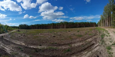 VolorFlex - Tak wygląda puszcza augustowska (obszar natura 2000) co paręset metrów ta...