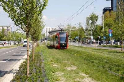 Pawel993 - W Katowicach na szczescie wrocili do drzew, zmiejszyli droge i posadzili d...