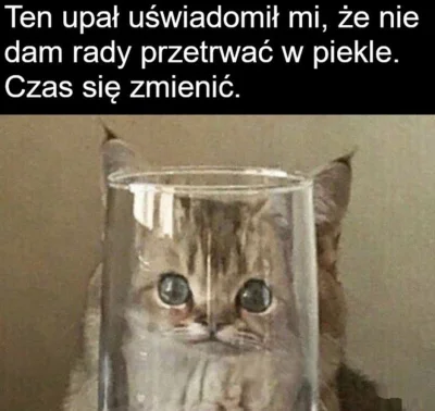 S.....e - #heheszki #memy #humorobrazkowy #upal #pogoda