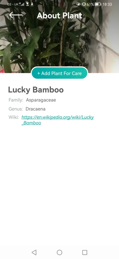 Muhino - @Gimbazjon303 Plant finder mówi, że przyniesie ci szczęście (｡◕‿‿◕｡)