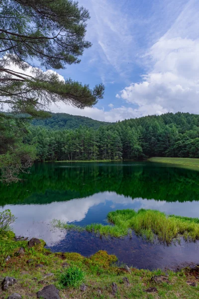 d.....0 - Mishaka Pond, Nagano
#japonia #natura