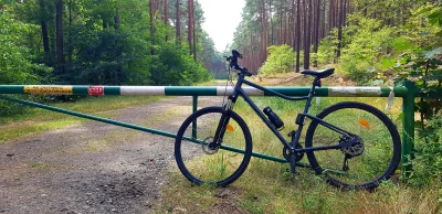 Michael-Knight - Dzisiaj tylko podróż po lesie a jutro Bydgoszcz-Sopot.
#rower #bydgo...