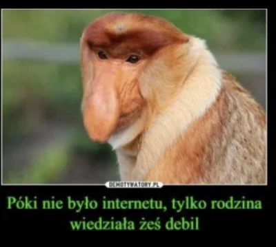 Pebejg - @netkret: