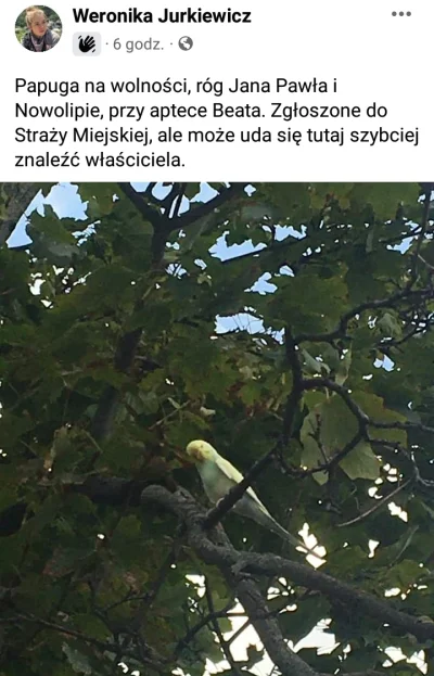 anastazjangela - Muranów, róg Jana Pawła i Nowolipie, przy aptece Beata. Zaobserwowan...