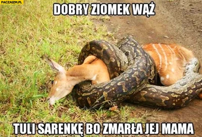 NieBendePrasowac - @Gorion103: @kurt_hectic: wytłumaczcie mi, że to debilny komentarz...