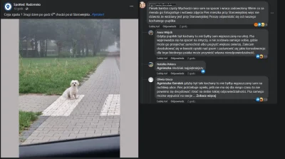 Hasiomaszkietnik - Jo dupia, Karyna puszcza samopas swojego psa na spacer i jeszcze s...
