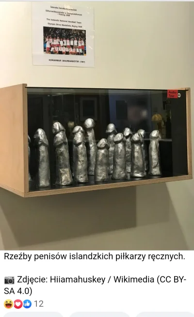 costusmierdzi - Welcome to Muzeum penisów w Islandii. Kto z was #niebieskiepaski pozw...