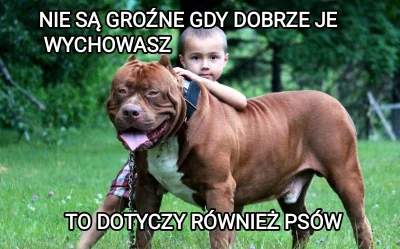 K.....2 - #pdk #psy #heheszki #dzieci #amstaff #pitbull
Pozdrawiam @Nowelizacja ( ͡~ ...