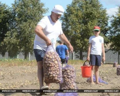 blau - Lepiej niech zajmie się prawdziwą robotą, a nie tylko ten TikTok. Niech weźmie...