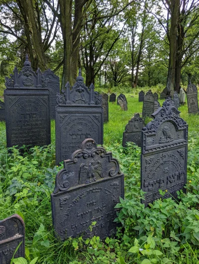 Nivuses - Cmentarz żydowski z żeliwnymi macewami.

#urbex #urbanexploration #opuszczo...