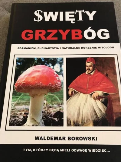 wiecejszatana - > Grzybóg

@Nemetiisto: