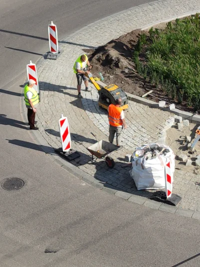 PanBulibu - Typowy polski pracownik fizyczny przy budowie dróg w januszexie be like:
...