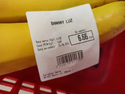 firmowy_leser - Będę jadł banany i czcił Mrocznego Pana.
Banany wybierane przez żonę....