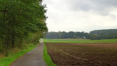 Patol0g - Za rok nie popełnię tego błędu i nie wezmę urlopu w środku tego piekła tylk...