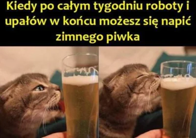 Leisik34 - #heheszki #humorobrazkowy #pracbaza #koty