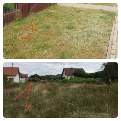 DosKapp4 - Hej! Czy ktoś mógłby mi powiedzieć, czy „trawnik” działki wyglądający obec...