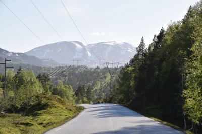 andale - #andrzejnarowerze 
Takie widoki mi się trafiły (｡◕‿‿◕｡)
#norwegia #rower