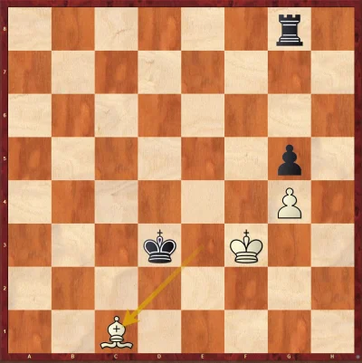Hans_Kropson - Ankieta tylko dla rozwiązujących puzzle szachowe.



#szachy