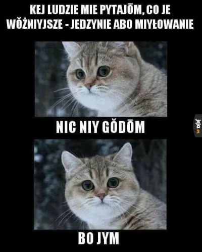 xfin - #koty #heheszki #rozkminy #pdk