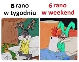 p03e - Kolejny weekend i znowu to samo ( ͡° ͜ʖ ͡°)
Dzień dobry