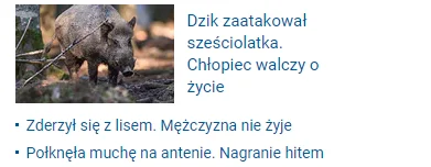 p.....o - Strasznie animalna ta Wirtualna Polska. #polska #wiadomosci