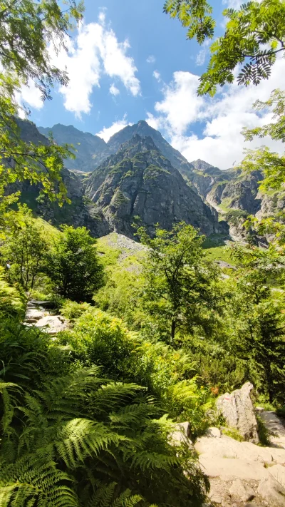 Nupharizar - Trochę Tatry a trochę Jurassic Park.

#gory #fotografia #tatry