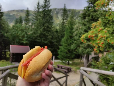 wallygatorrrr - Górski hotdog :D pozdrawiam serdecznie ze szlaku na Śnieżkę 

#gotujz...