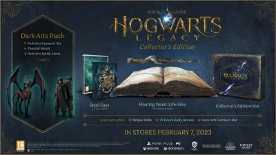kolekcjonerki_com - Dziedzictwo Hogwartu – Edycja Kolekcjonerska na PlayStation 5 za ...