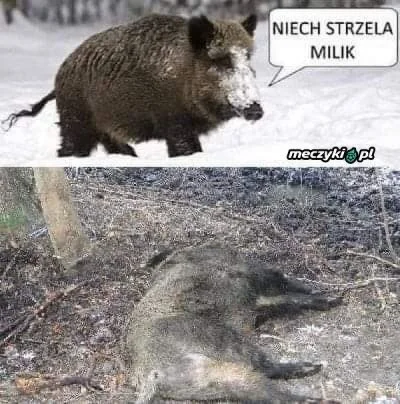 hosezbsk - Szacun dla Roberta :) Milik także w Juve drugą bramkę strzelił, szaczunecz...