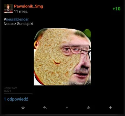 winsxspl - @Pawulonik_5mg po prostu nie dorosłeś do tagu, co widać po postach