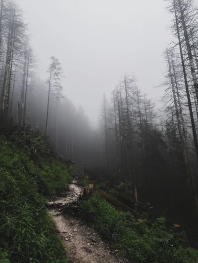 Nupharizar - Trochę Tatry a trochę Dark.

#gory #fotografia #tatry